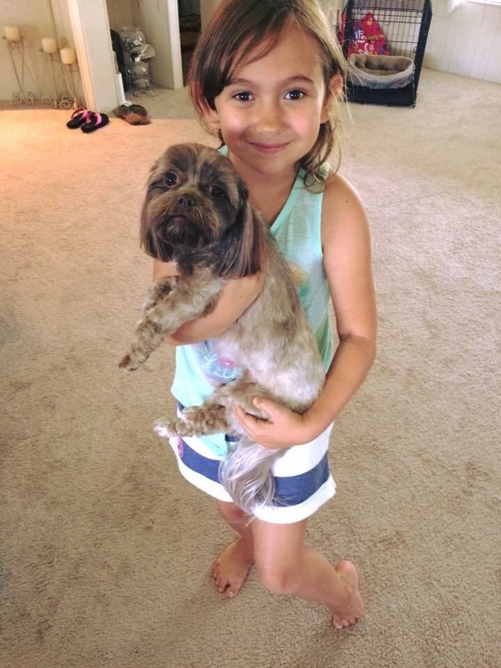 What A Cutie....not A Bad Looking Pup Either
