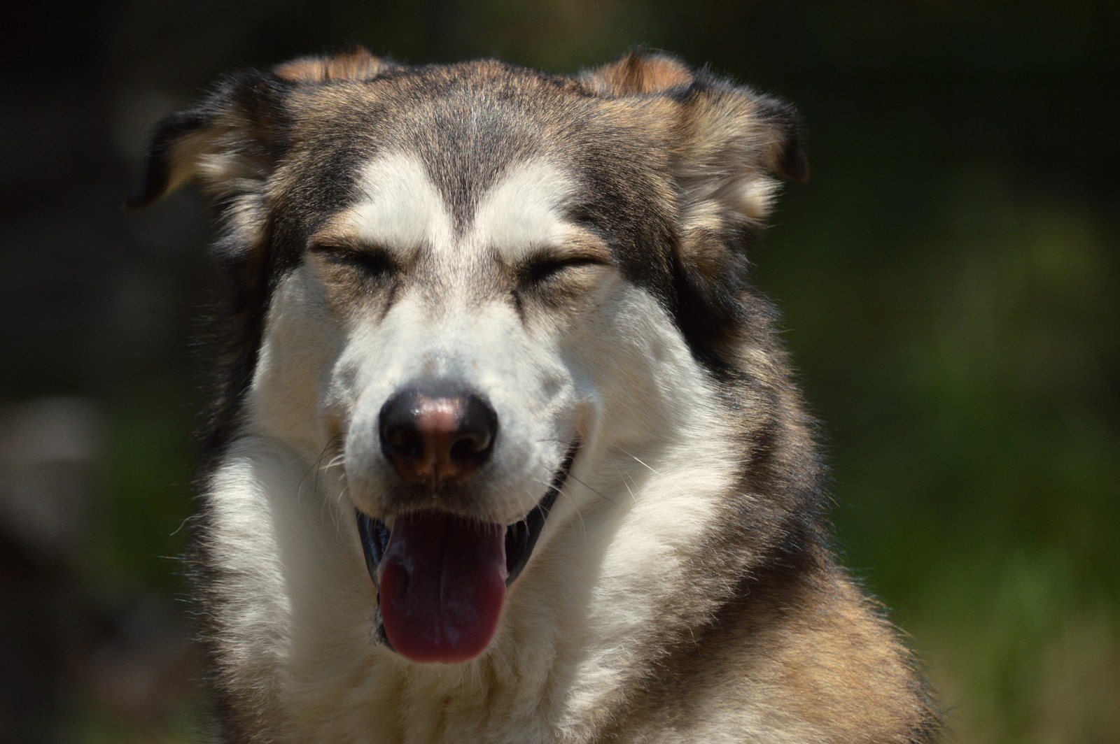 Sunbathing Bliss!