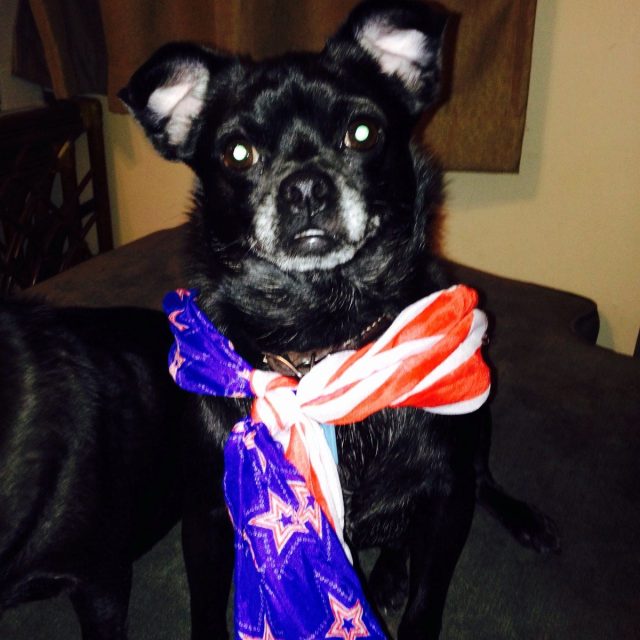 Where's The Fireworks! - Harvey