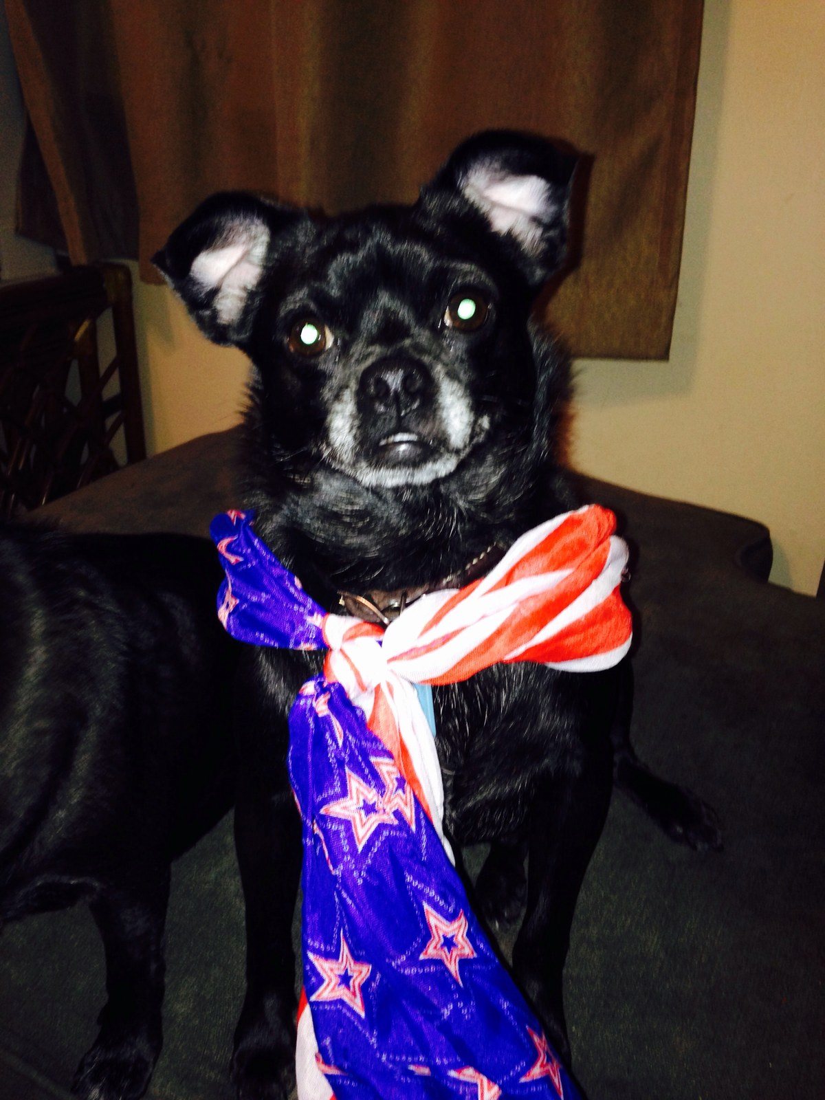 Where's The Fireworks! - Harvey
