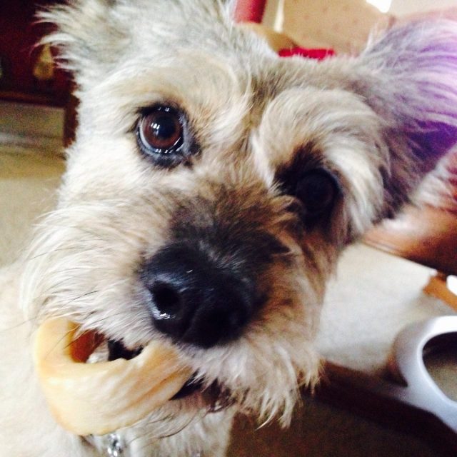 What Bone?