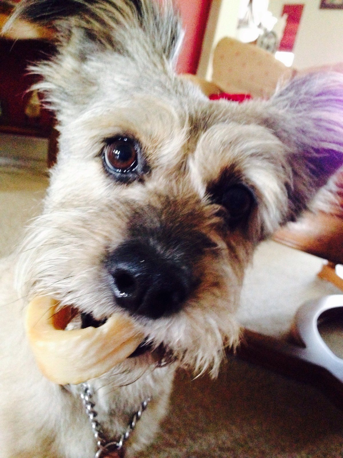 What Bone?