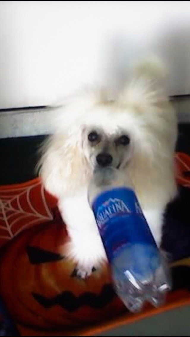 Water Anybody?