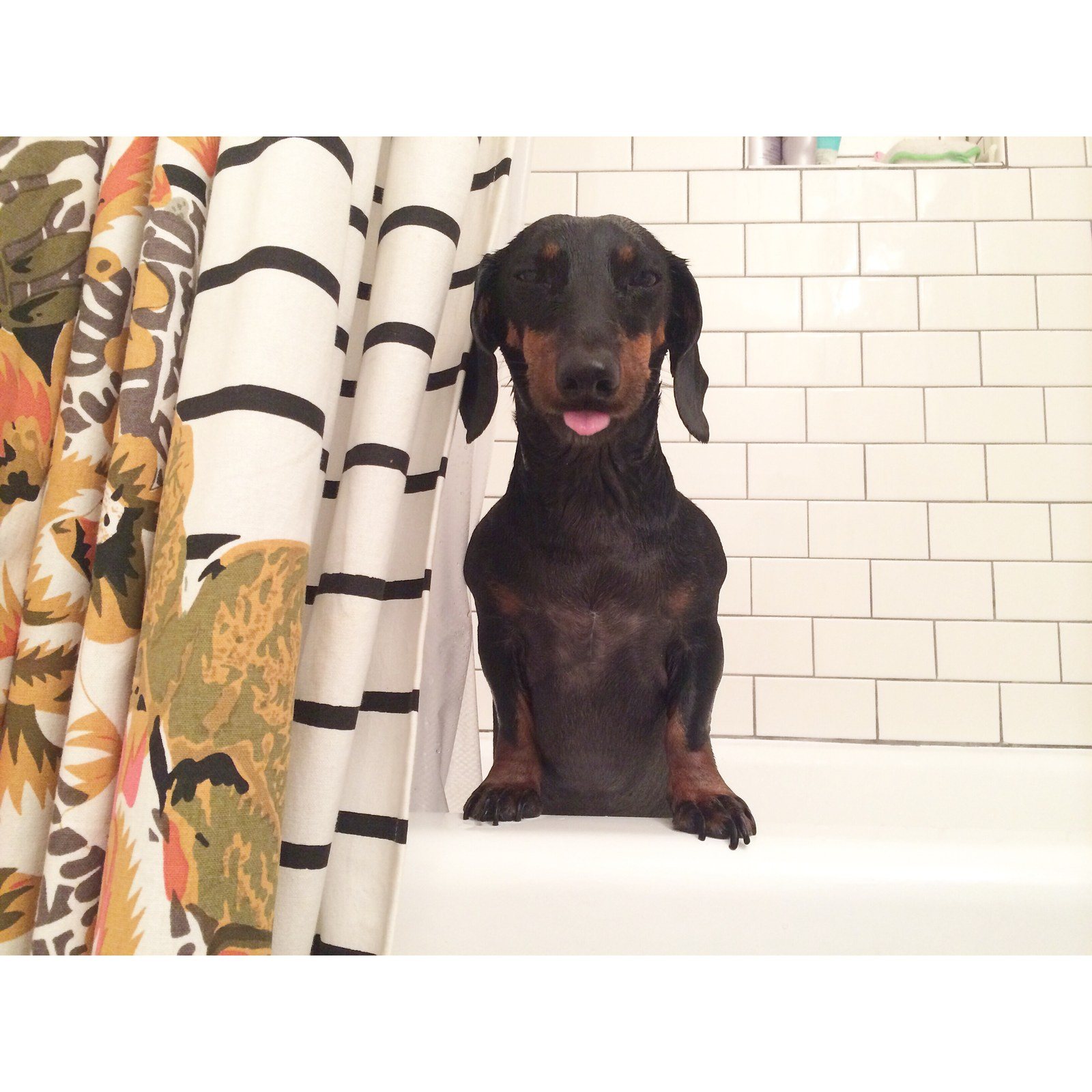 Not Another Bath