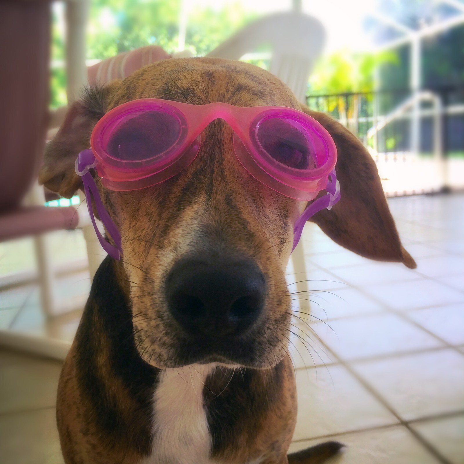 Summer Fun!!!