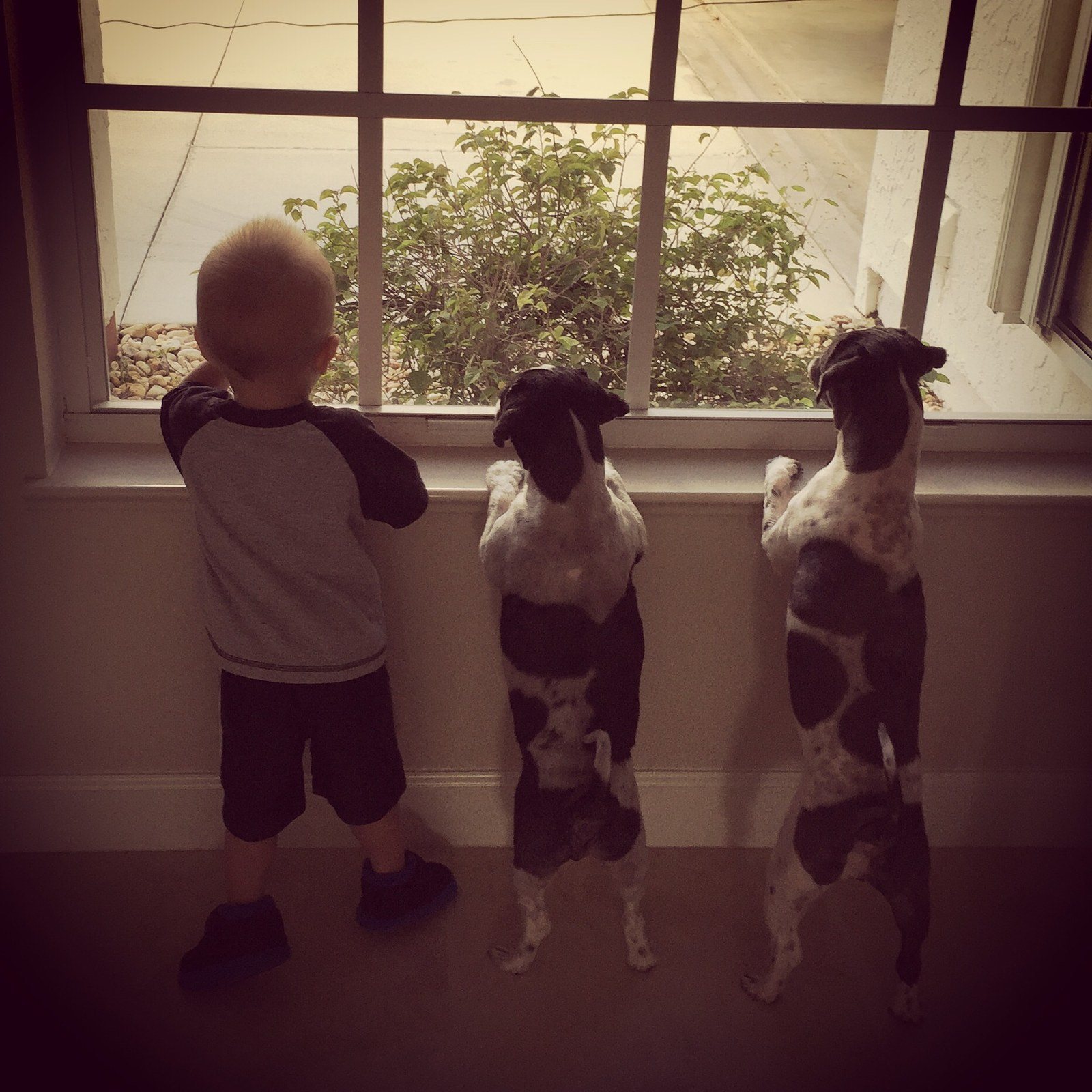 Who's There?!!