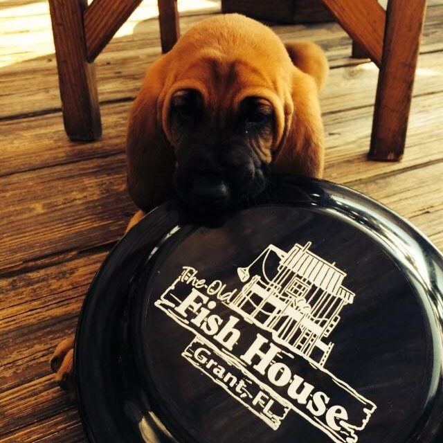 I Am Big Enough, Promise!