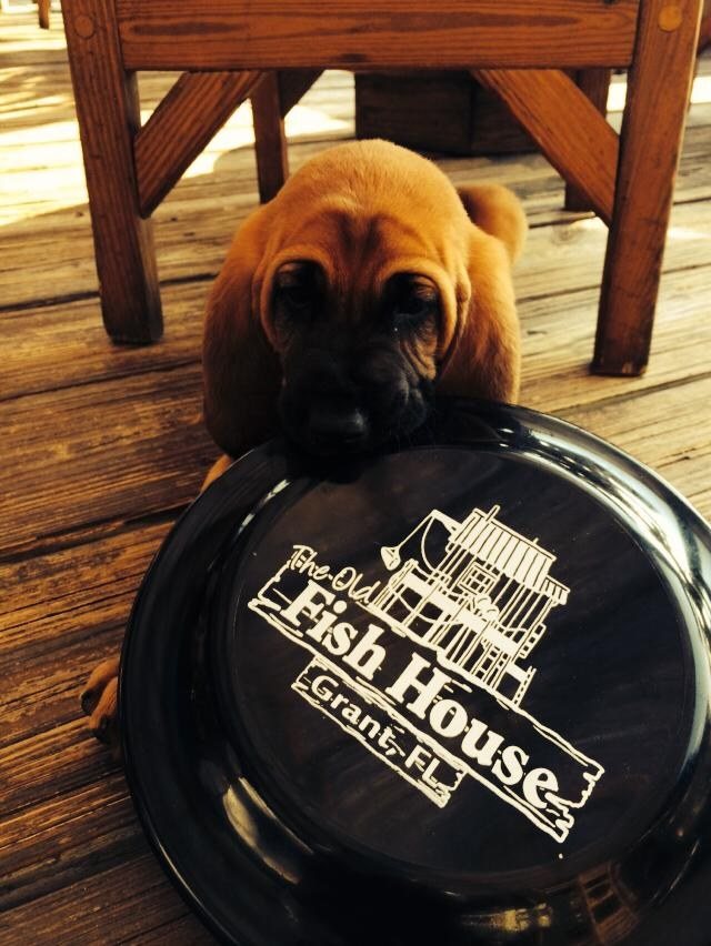 I Am Big Enough, Promise!