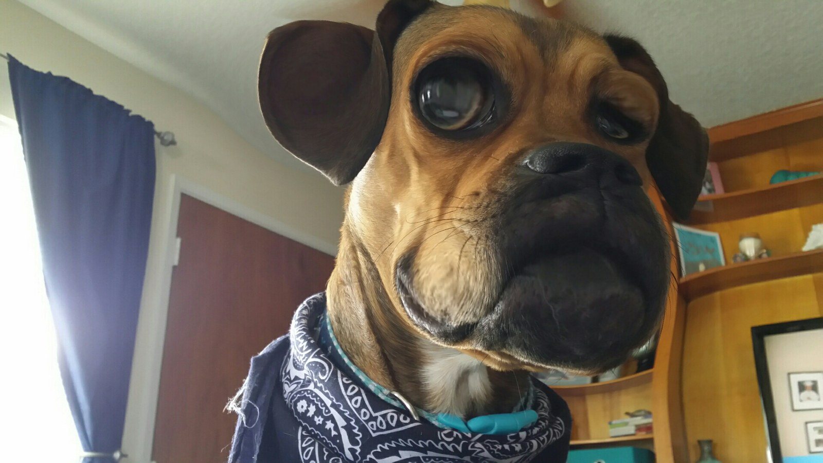 No I Did Not Eat Your Peanut Butter! Why Do You Ask?