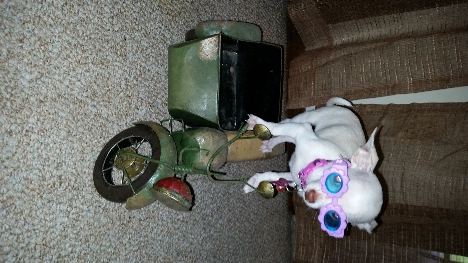 Ivy's "Born To Be Wild"