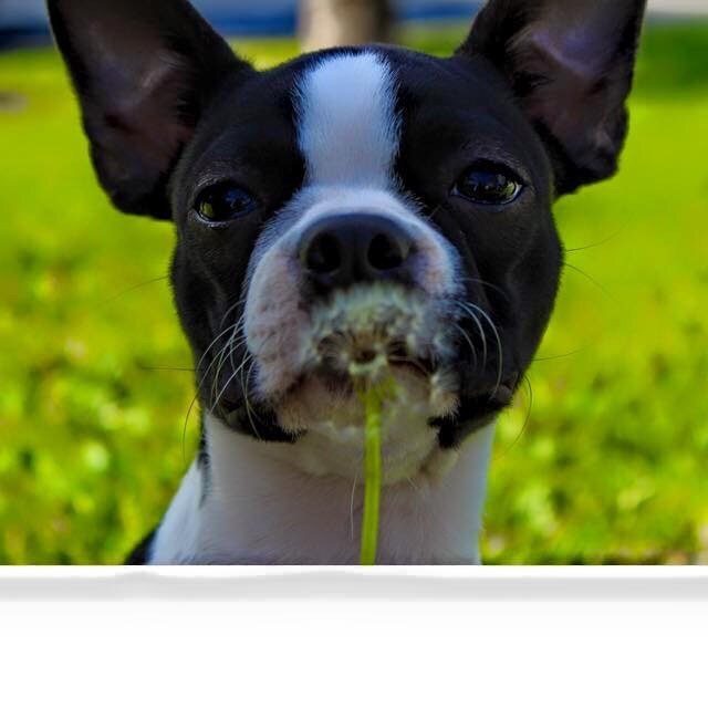 Pure Sweetness!