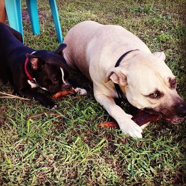 Best Friends
