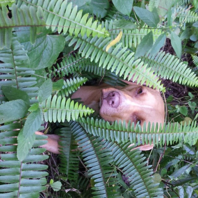Can You See Me?