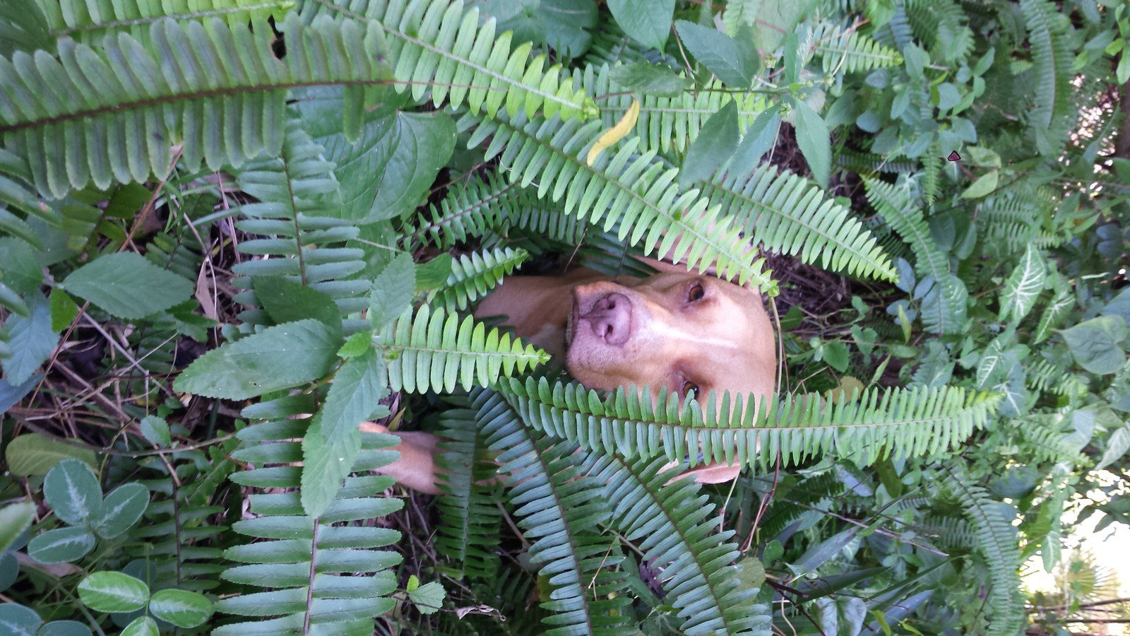 Can You See Me?