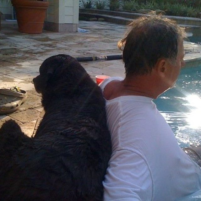 Best Buds