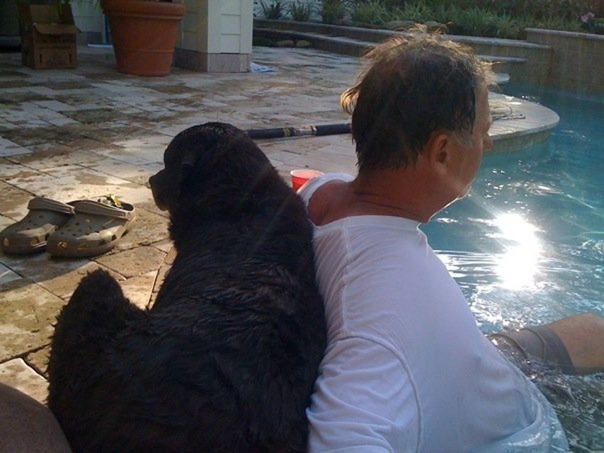Best Buds