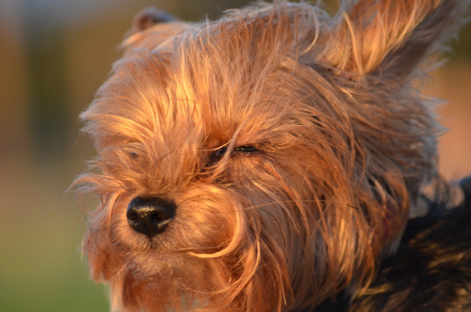 Hold It, I Think I Am Gonna Sneeze!