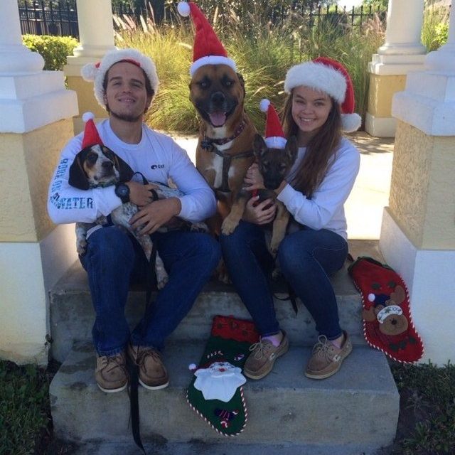 Merry Christmas!