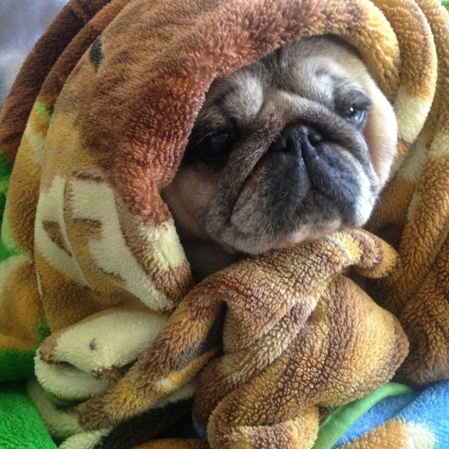 Anyone Else Cold?