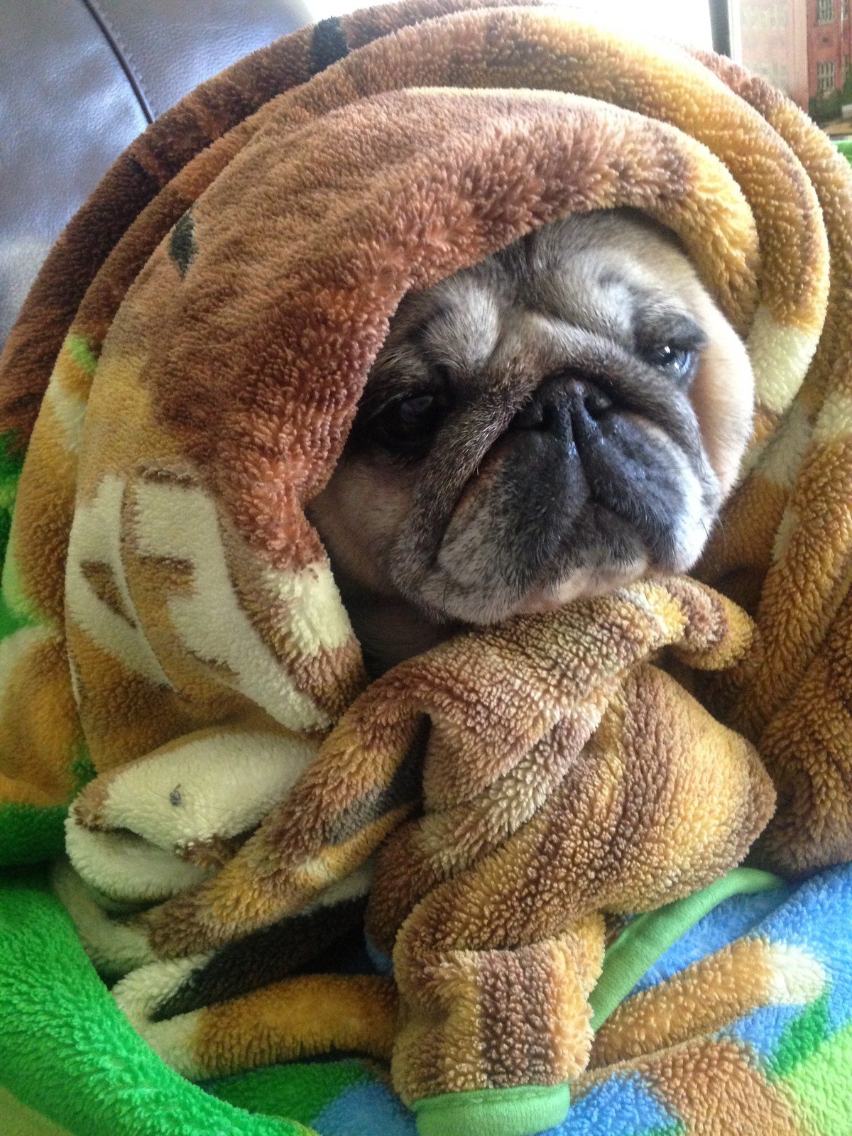 Anyone Else Cold?