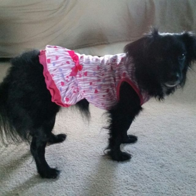 Heidi Loves Her New Dress