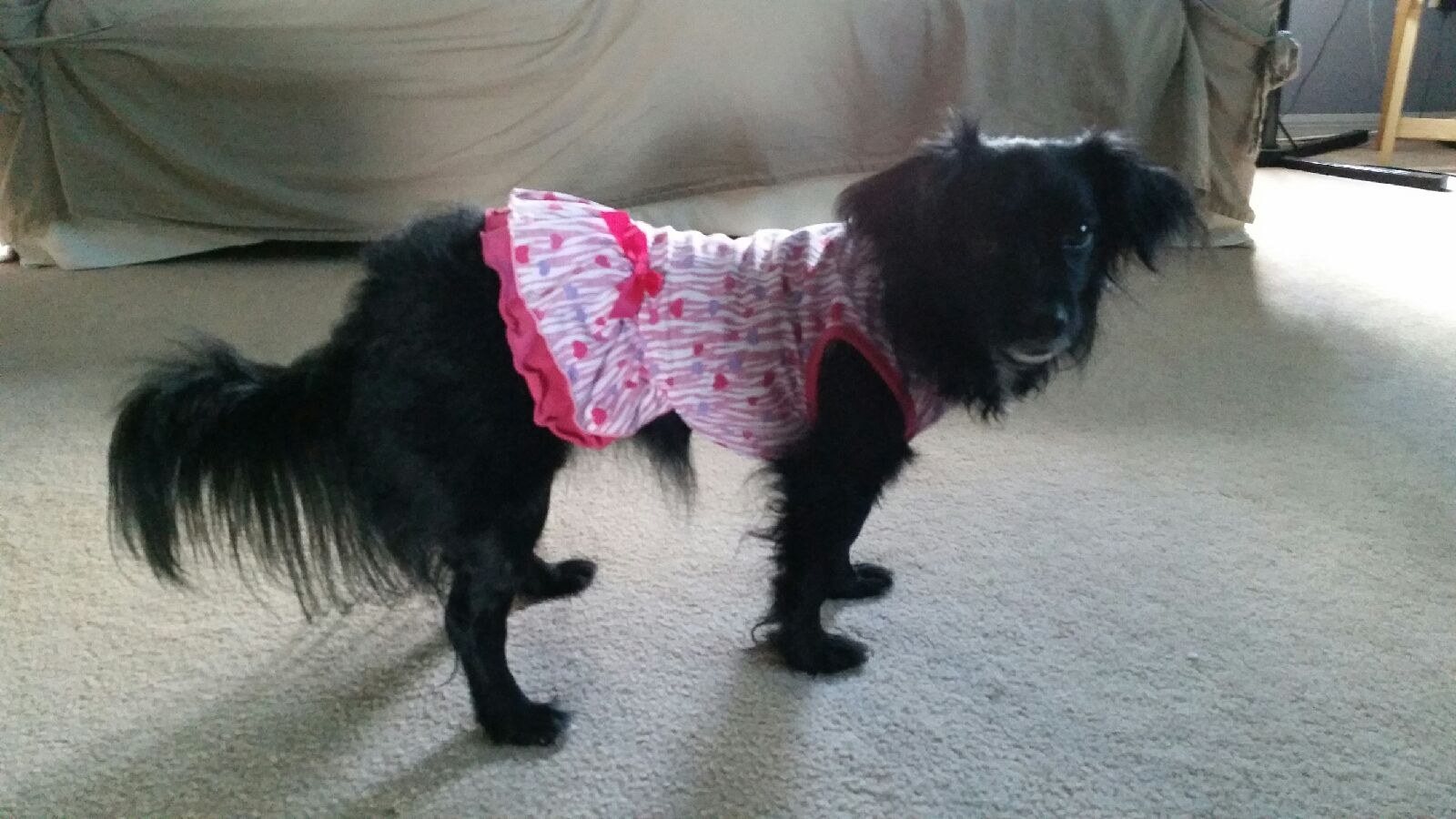 Heidi Loves Her New Dress