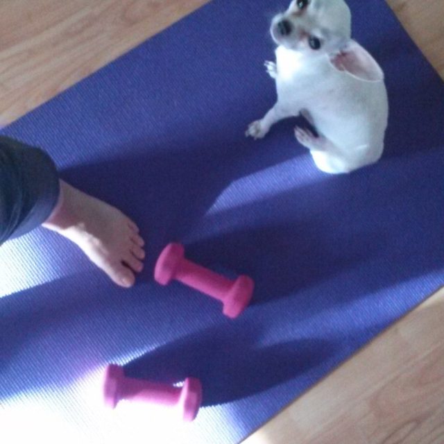 Chi-cercise