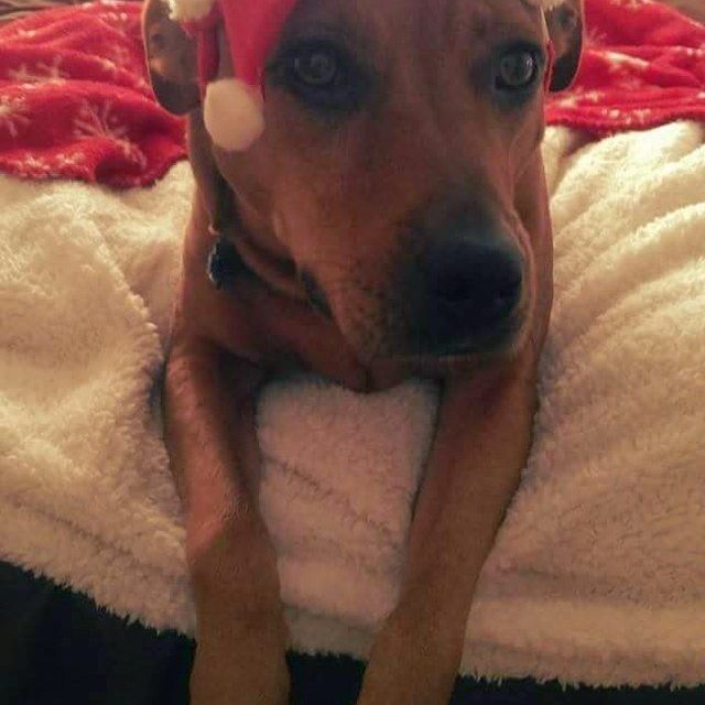 Ho,ho,ho!