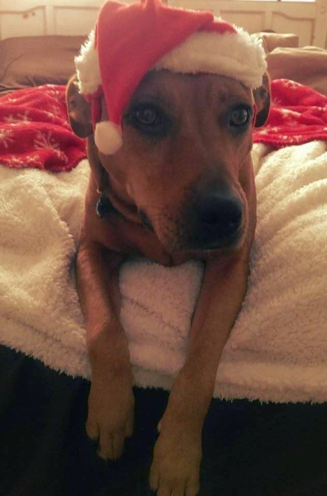 Ho,ho,ho!