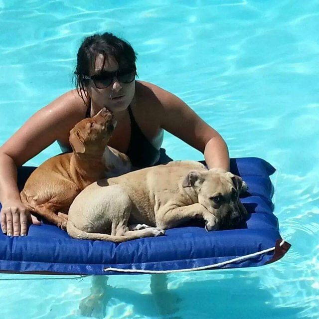 Pool Dayz