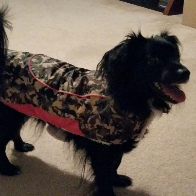 Heidi Loves Her Rain Coat