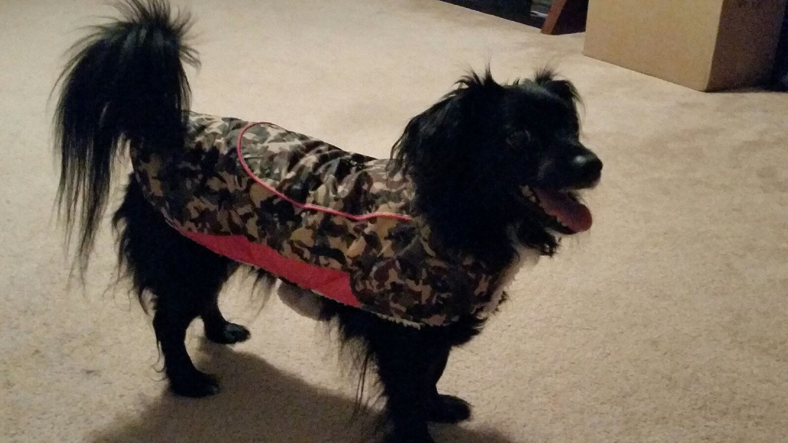 Heidi Loves Her Rain Coat