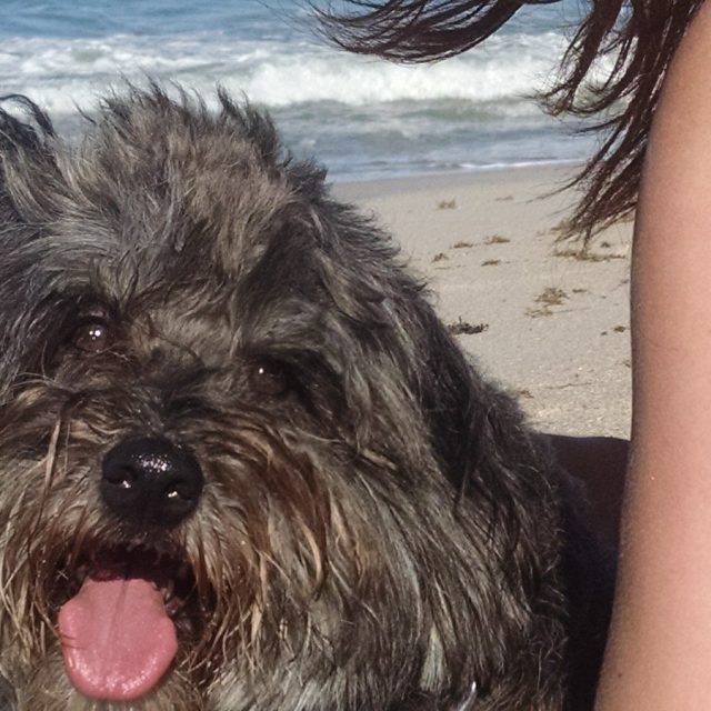 Best Beach Day!!!