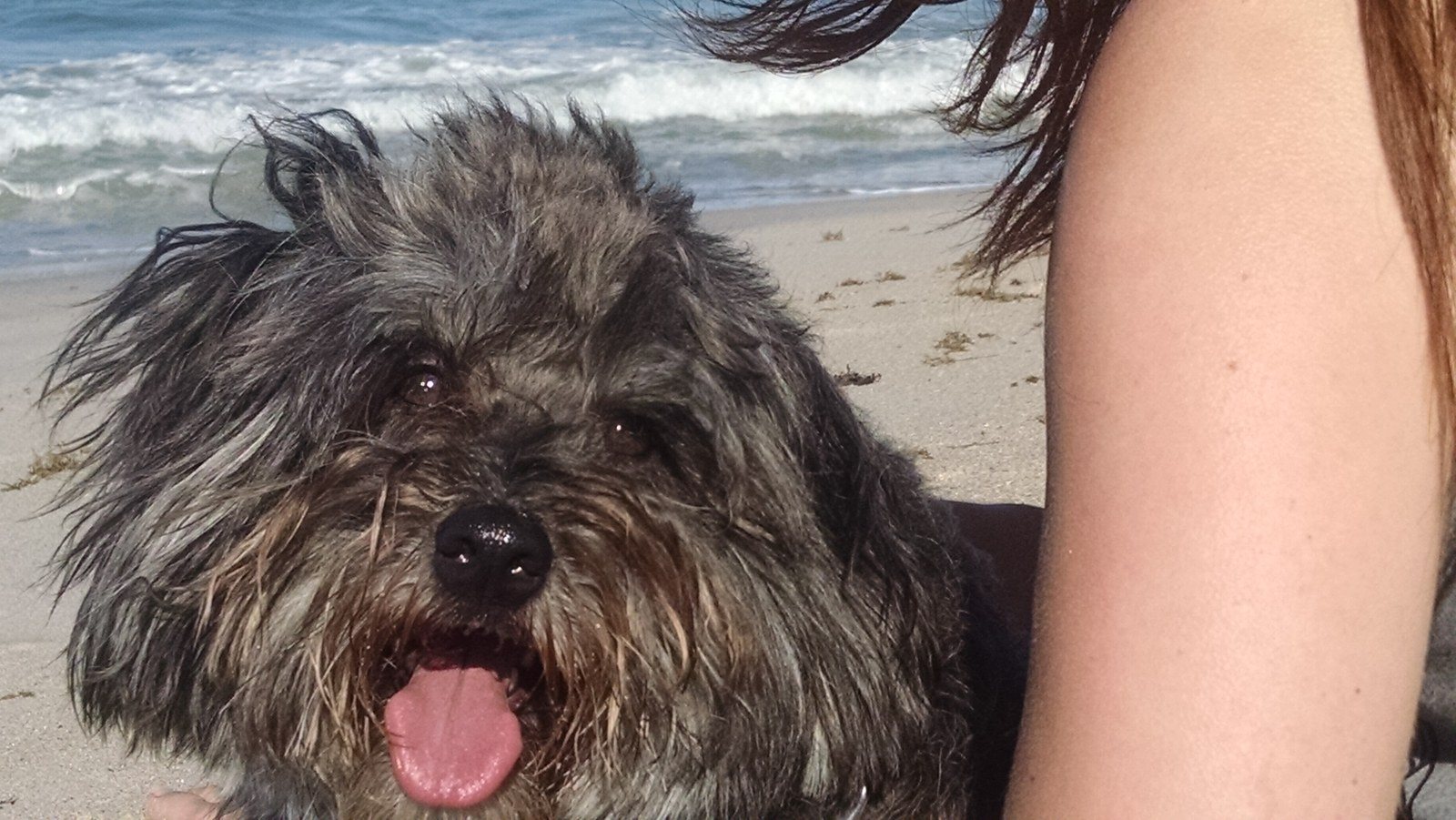 Best Beach Day!!!