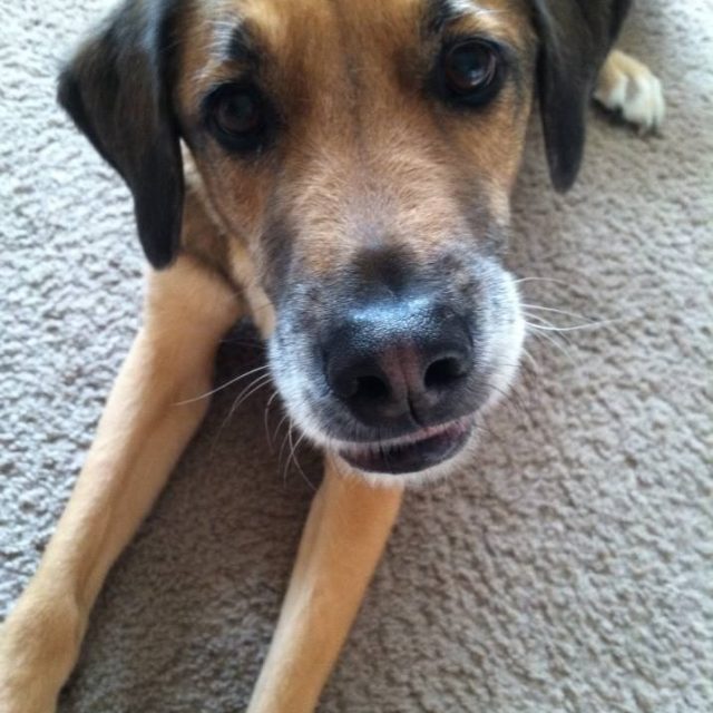 All About That Face.