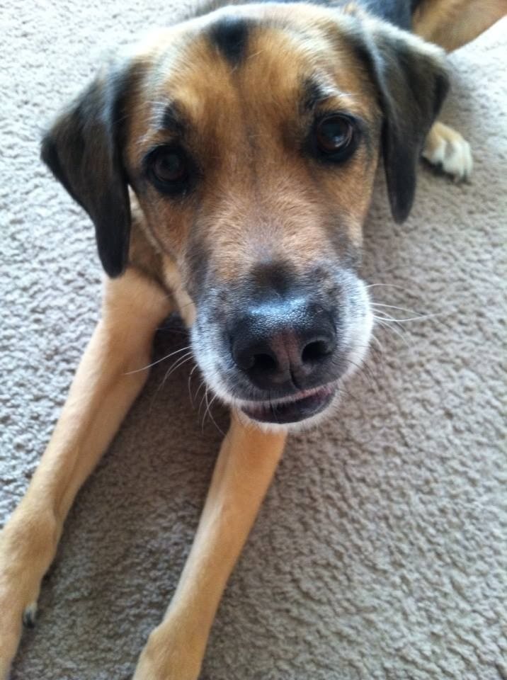 All About That Face.
