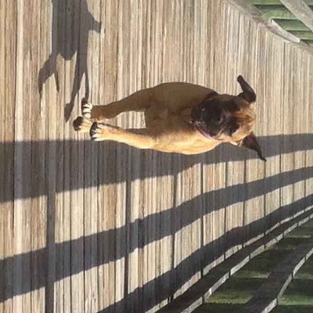 Walkin On Sunshine
