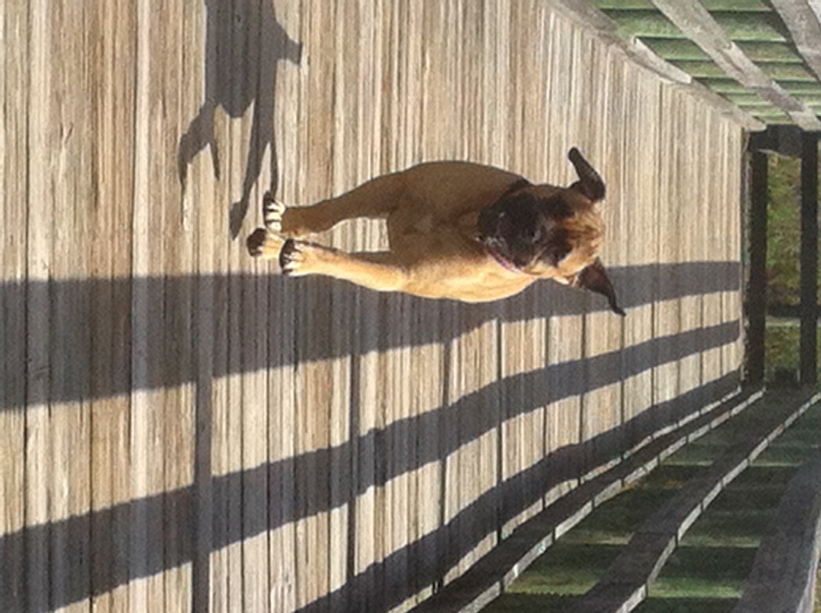 Walkin On Sunshine