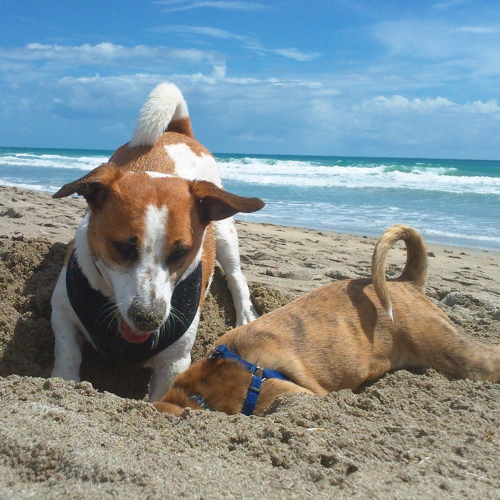 Looking For Treasures On The Treasure Coast