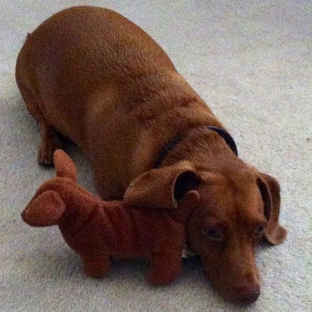 Mini Me
