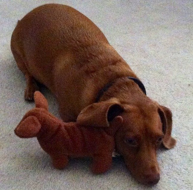 Mini Me