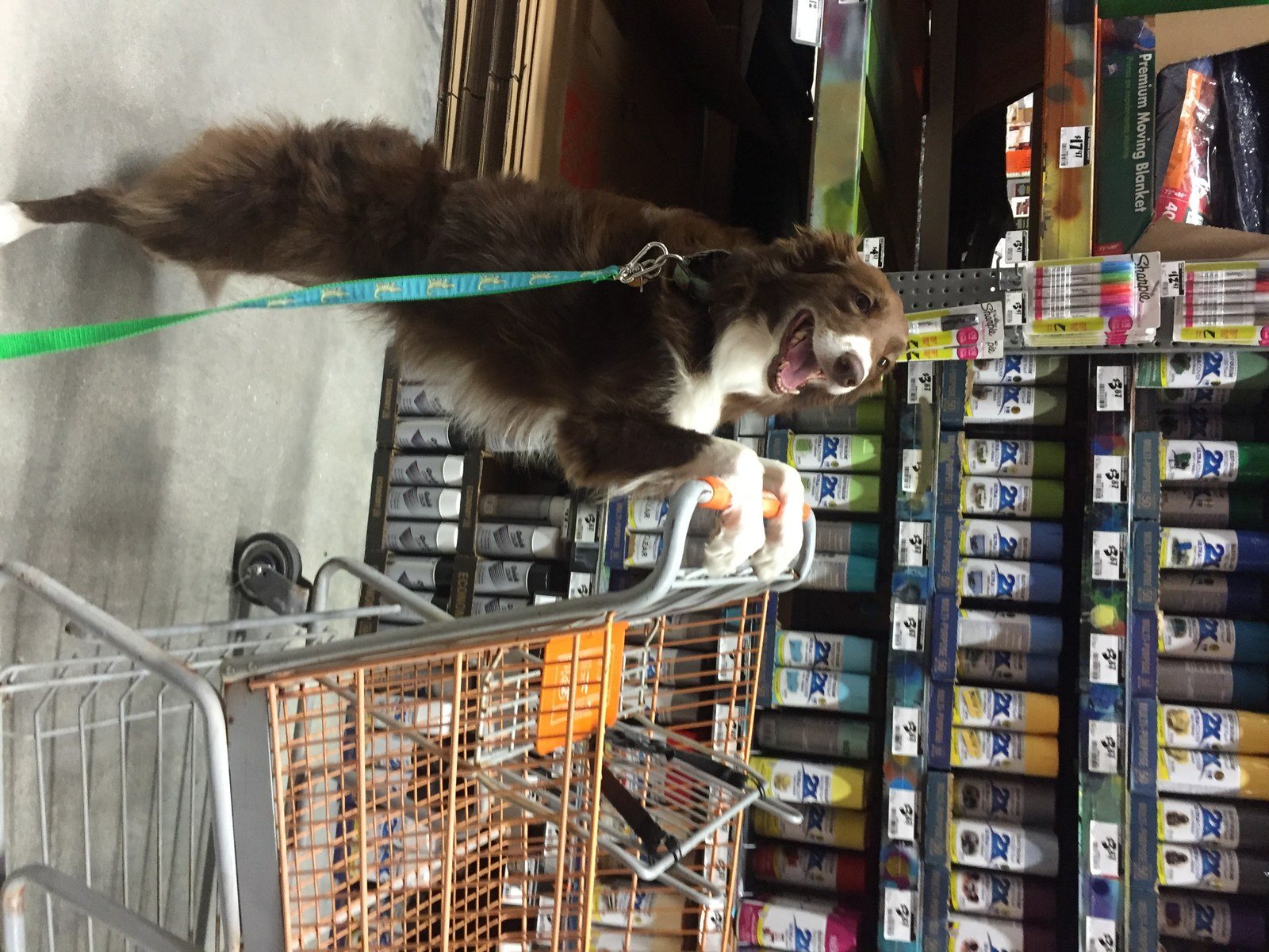 Just Doing Some Weekly Shopping At Home Depot