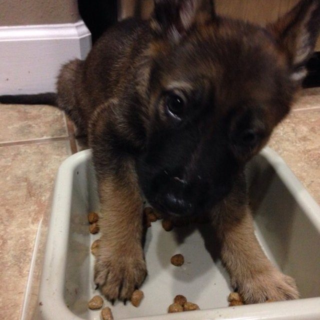 Yes, I Was Starving!