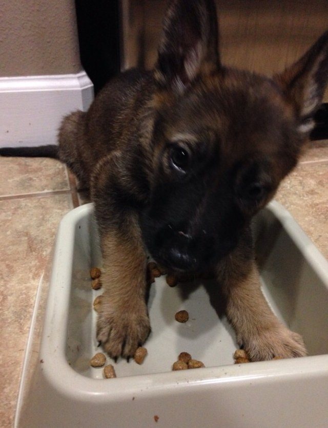 Yes, I Was Starving!