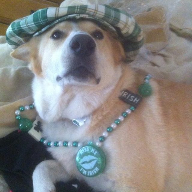 St. Patricks Day