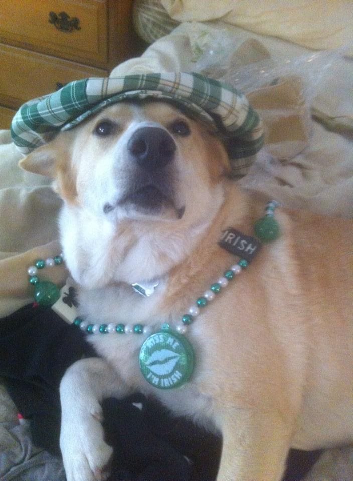 St. Patricks Day