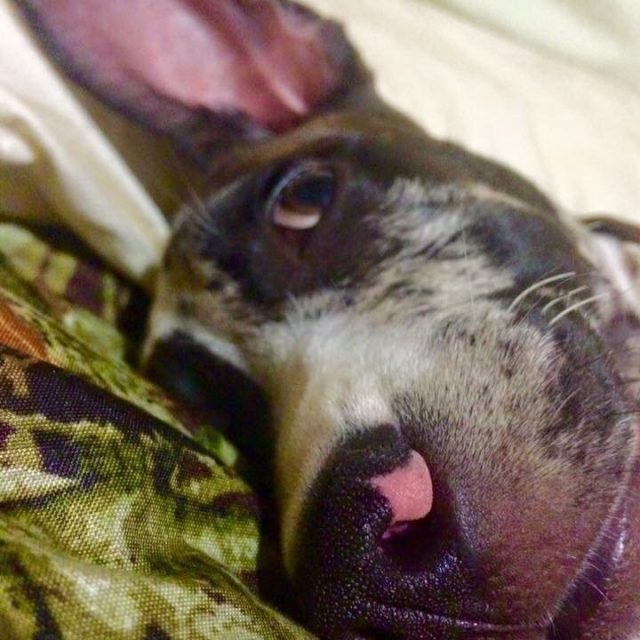 "Mom, Did You Hear That?"