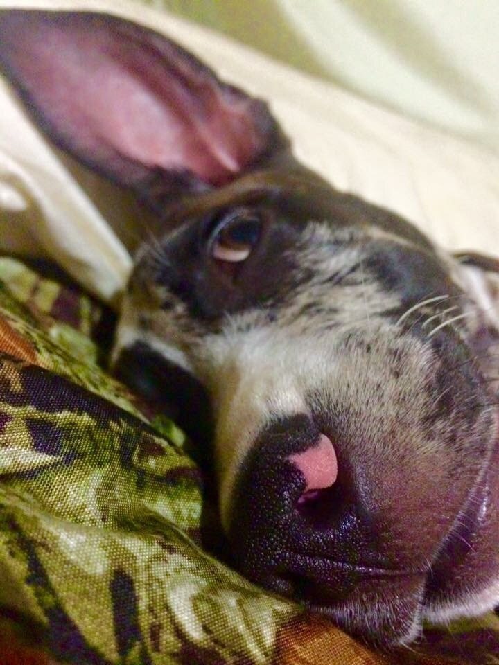 "Mom, Did You Hear That?"