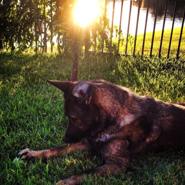 #mygirl