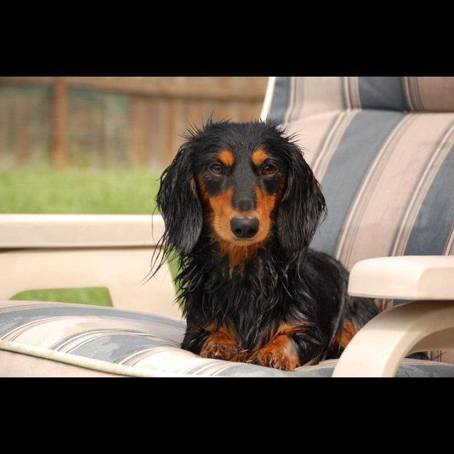 I Hate Getting My Hair Wet..